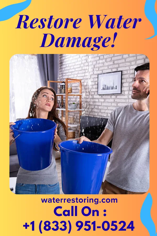 water restoration Master Sewage Cleanup LLC Altamont