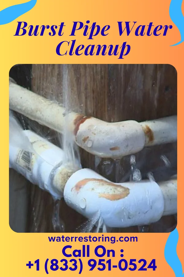 Burst Pipe Water Cleanup in Altamont, NY