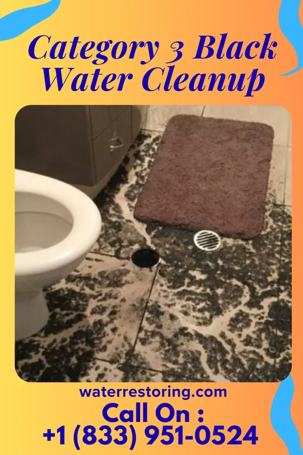 Category 3 Black Water Cleanup in Altamont, NY