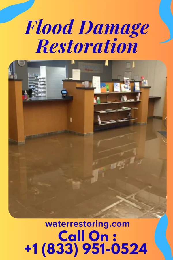 Flood Damage Restoration in Altamont, NY