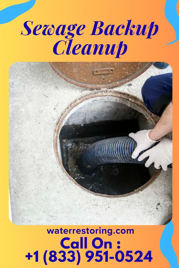 Sewage Backup Cleanup in Altamont, NY