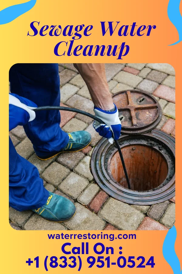 Sewage Water Cleanup in Altamont, NY